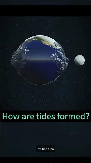 🌊 How Tides Are Formed Causes & Types of Tides Explained Simply