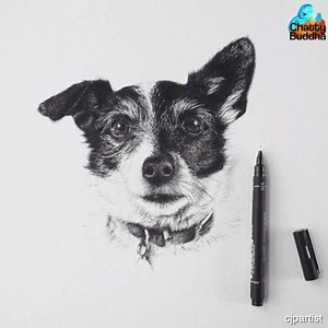 6.2K views · 88 reactions | There are so many hidden images in this extremely detailed pointillism art. ‍ https://www.instagram.com/cjpartist/ | Oomy | Facebook