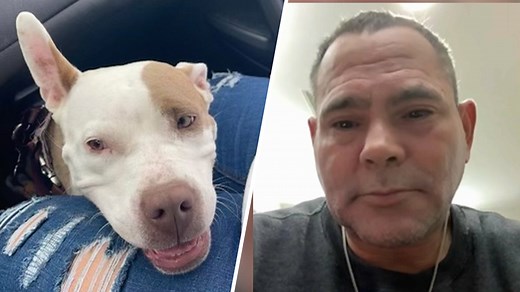 Man Dragged by Metro Train Was Inseparable From Service Dog, Family Says