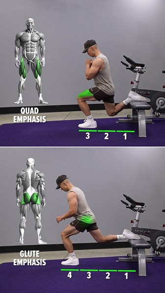 Bulgarian Split Squat - Quad vs Glutes