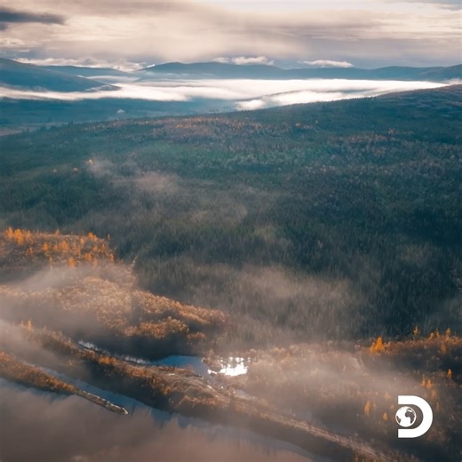 232K views · 2.7K reactions | Mitch is racing against time to get home—because no treasure is worth more than family. ❤️ Watch a new episode of #GoldRush Fridays at 8p on Discovery! | Gold Rush | Facebook