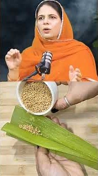 Fenugreek seeds hair oil for hair Regrowthget get long thick hair stop hair fall #extremehairgrowth