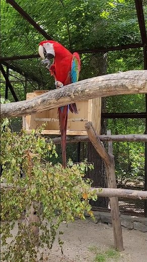 The Unbelievable World of Khmer Beauty Culture