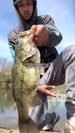 Bass Fishing Adventures in Michigan