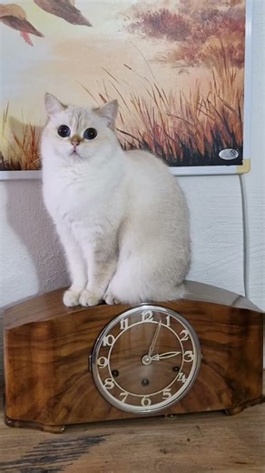 Das letzte war bei einer Übernachtung #music