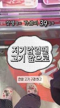 갓생 말고 가생이 39일차 | 산책하자고 나와서 고기 쇼핑