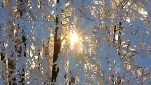 9K views · 63 reactions | Sunshine can boost mental well-being, and these Canadian cities get the most of it. Find out which city ranks first for annual sunshine hours. Watch more video: https://ow.ly/fj8R50V73UC | The Weather Network | Facebook