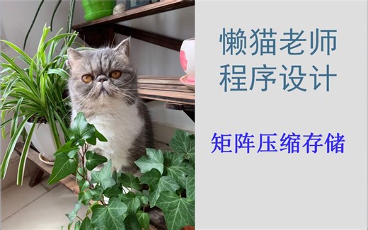 懒猫老师-数据结构-(16)矩阵压缩存储(对称矩阵,三角矩阵,对角矩阵,稀疏矩阵)