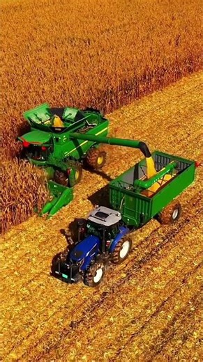 Modern Corn Harvesting Machine | Incredible Combine Technology in Action 🌽🚜