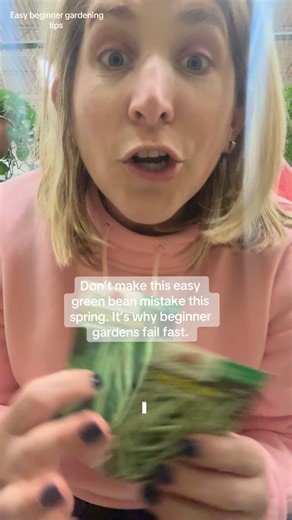 Tomato Queen- Gardening Tips on Instagram: "If you’re planting green beans for the first time, this matters more than people tell you. There are two types of green beans, and choosing the wrong one for your space can set you up for frustration before the season even starts. Bush beans and pole beans grow very differently, need different support, and give very different results. Once you know the difference, everything gets easier and your harvest makes way more sense. Beginner gardeners: save yo