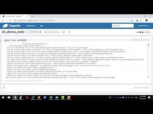 Apache Zeppelin Interpreter sh