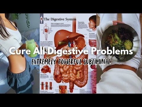 Heal Your Entire Digestive System ✧ GERD, Gastritis, IBS, Bloating, Ulcers, Indigestion Subliminal