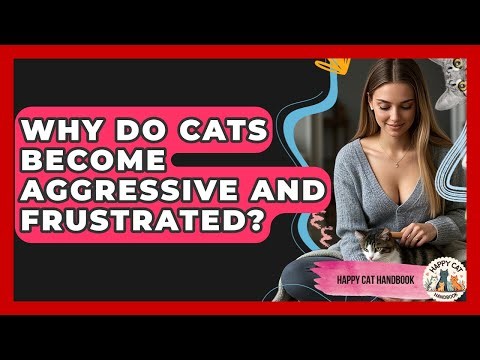 Why Do Cats Become Aggressive And Frustrated? - Happy Cat Handbook