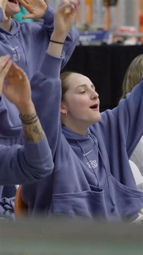 1m spring board diving #diving #olympicsport #worldaquatics