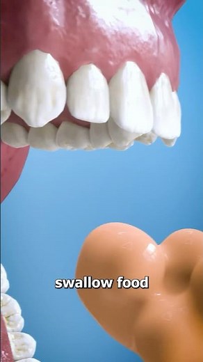 What Is The Purpose Of Your Uvula? 🤔 Surgeon Reacts