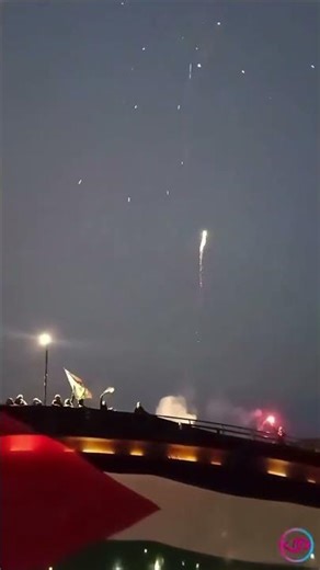 Chile Stands with Palestine 🇨🇱✊🏽 | Global March to Gaza #shorts