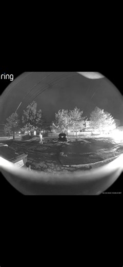 Video shows horrific moments before and after dog set on fire