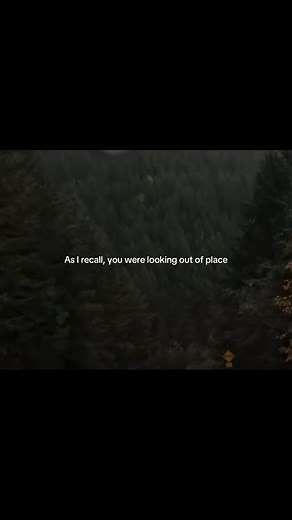 Cage The Elephant - Cigarette Daydreams Lyrics