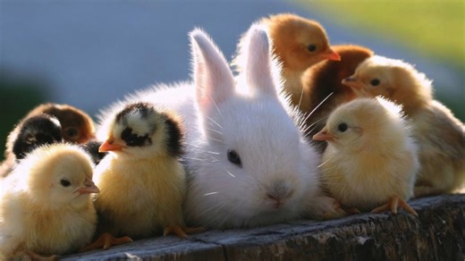 Spring Break Wednesday!