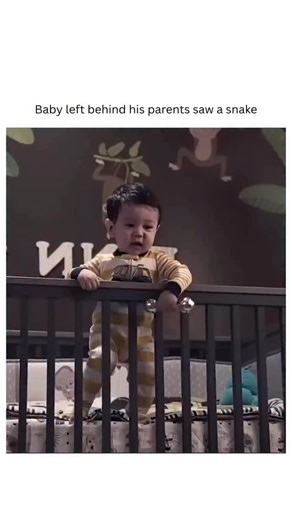 Find Top Movie on Instagram: "9-1-1: Lone Star 📺 Genre: Action • Drama • Procedural ⏱️ Seasons: 4 (ongoing/renewed status varies by year) ⭐ Created by: Ryan Murphy, Brad Falchuk, Tim Minear 🎬 Spin-off of: 9-1-1 📌 Overview: 9-1-1: Lone Star follows New York firefighter Owen Strand (Rob Lowe), who relocates to Austin, Texas after surviving 9/11. Tasked with rebuilding a firehouse nearly destroyed by tragedy, Owen brings a mix of experienced firefighters and new recruits to form Station 126. The