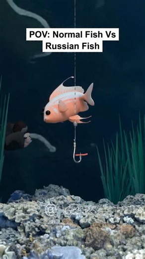 Agbaps on Instagram: "POV: Normal fish vs Russian fish #reels #gbaps"