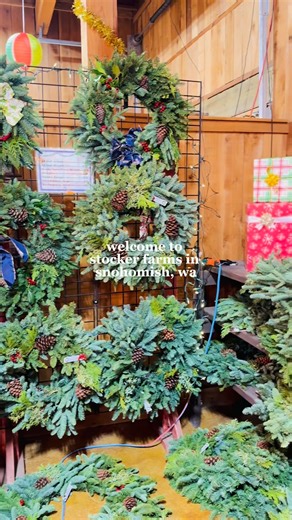 2.5K views · 32 reactions | ✨ Welcome to Stocker Farms — the most magical place to find your Christmas tree!  We’re open daily for U-Cut & Pre-Cut trees through Dec. 14. Come find the one that feels like home! ❤️ | Stocker Farms | Facebook