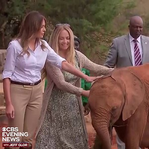 16K views · 274 reactions | At least 14 baby elephants surrounded First Lady Melania Trump as she visited the David Sheldrick Wildlife Trust Elephant & Rhino Orphanage in Nairobi, Kenya, Friday. She observed the baby elephants as they were called by caretakers to gleefully feed from giant white cartons containing a "very special milk formula." https://cbsn.ws/2Nn1cdD | CBS Evening News | Facebook