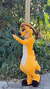 141K views · 2.3K reactions | Timon in Adventureland. ✨ - #disneylandparis #disneyparis #lionking #timon #Disneyland #disneycharacters | Pixie Dust DLP | Facebook