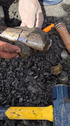 Baculites fossil extraction from the Pierre Shale in Colorado. | Colorado Geology