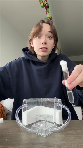 the biggest queen ant that’s ever existed!!