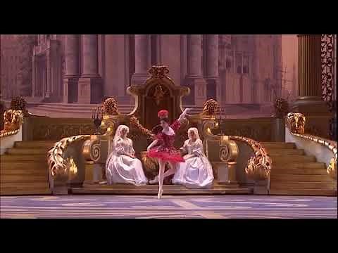 SLEEPING BEAUTY - Fairy #5 Variation - Violente (Bolshoi Ballet)