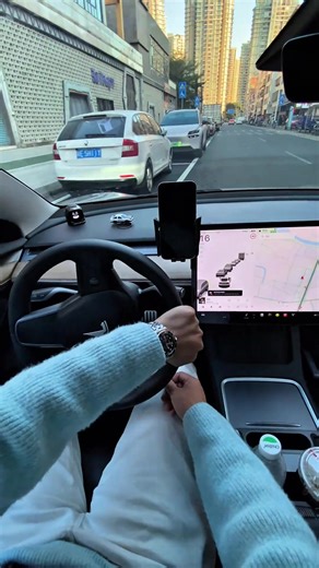 First-Person Perspective of Tesla Model 3 Parking