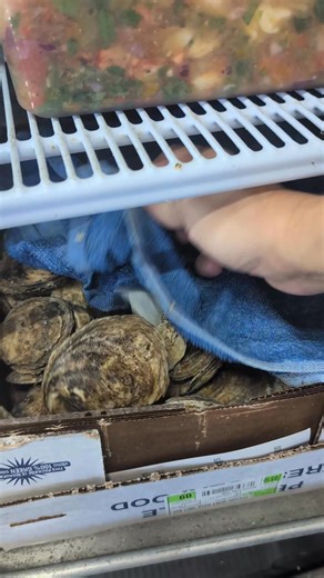 20K views · 269 reactions | Stone crab, oysters, fish spread, smoked mullet, smoked salmon, cedar key clams Friday delivery with cedar key oysters.florida spiny lobster, gator, frog legs octopus. We have it. Fish... Cobia, tripletail, snapper, grouper, hog fish  | Aripeka Stone Crab Company | Facebook