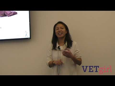 Veterinary treatment for chocolate toxicity in dogs