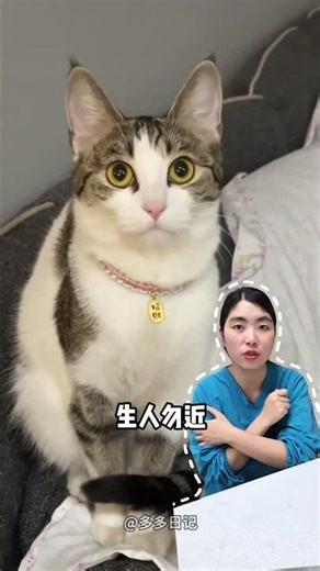 一个视频帮你解读猫咪尾巴秘语！#cat #tail #secrets