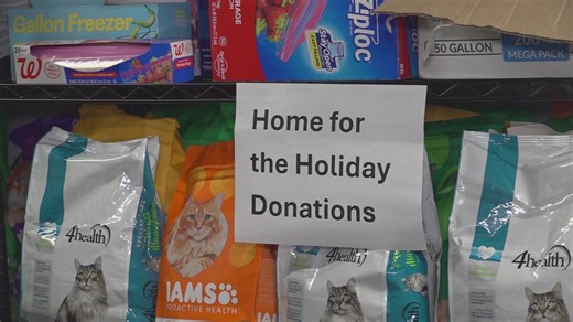 Forsyth Humane Society and County Shelter partner to distribute free pet food amid rising need