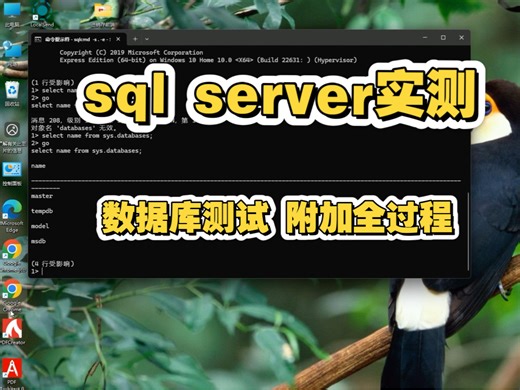 7 SQL Server 实测：数据库测试   附加全过程