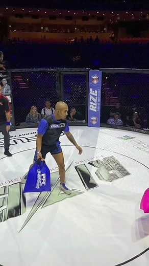 PFC Pillow Fight Championship on TikTok