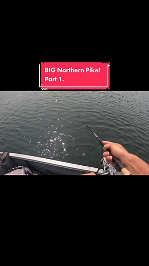 AG Fishing on TikTok