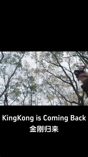 396K views · 4.1K reactions | A beautiful woman is being targeted by a vicious wolf! #金刚归来 #KingKongisComingBack #优酷电影 #youkumovie | Youku Movie | Facebook