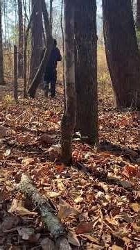 Homemade Shooting Range on OffGrid Homestead #ak47 #offgrid