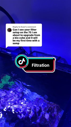 Understanding Aquarium Filtration Systems for Reef Tanks