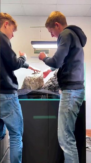 Assembling a new 90cm Iwagumi with big Elderly stone