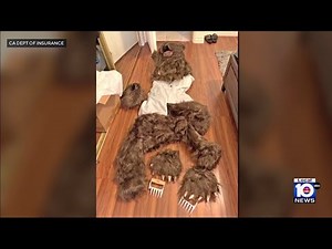 4 arrested in California in connection with fake bear insurance scam