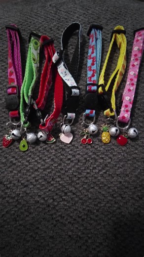 get these cat collars today #tiktokshop #checkoutmyshowcase #tiktokaffiliate #cat #catsoftiktok