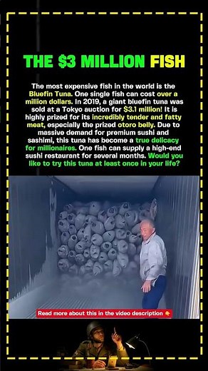 WORLD’S MOST EXPENSIVE FISH! 🐟💰
