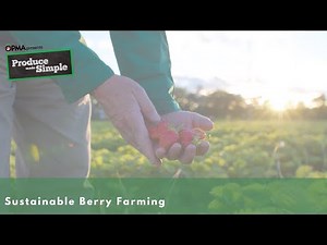 Sustainable Berry Farming | Produce Made Simple