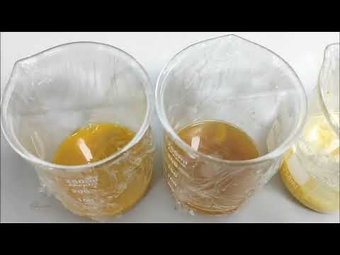 Phản ứng thủy phân protein với xúc tác enzim