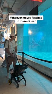 13K views · 84 reactions | doing this trend at the aquarium = people watching us film this 藍藍 SO AWKWARD #couplecomedy #couple #prank #couplegoals | Quincieandzach | Facebook