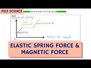 PSLE Science Elastic Spring Force & Magnetic Force Summary (TTA PSLE Science Ep 15)